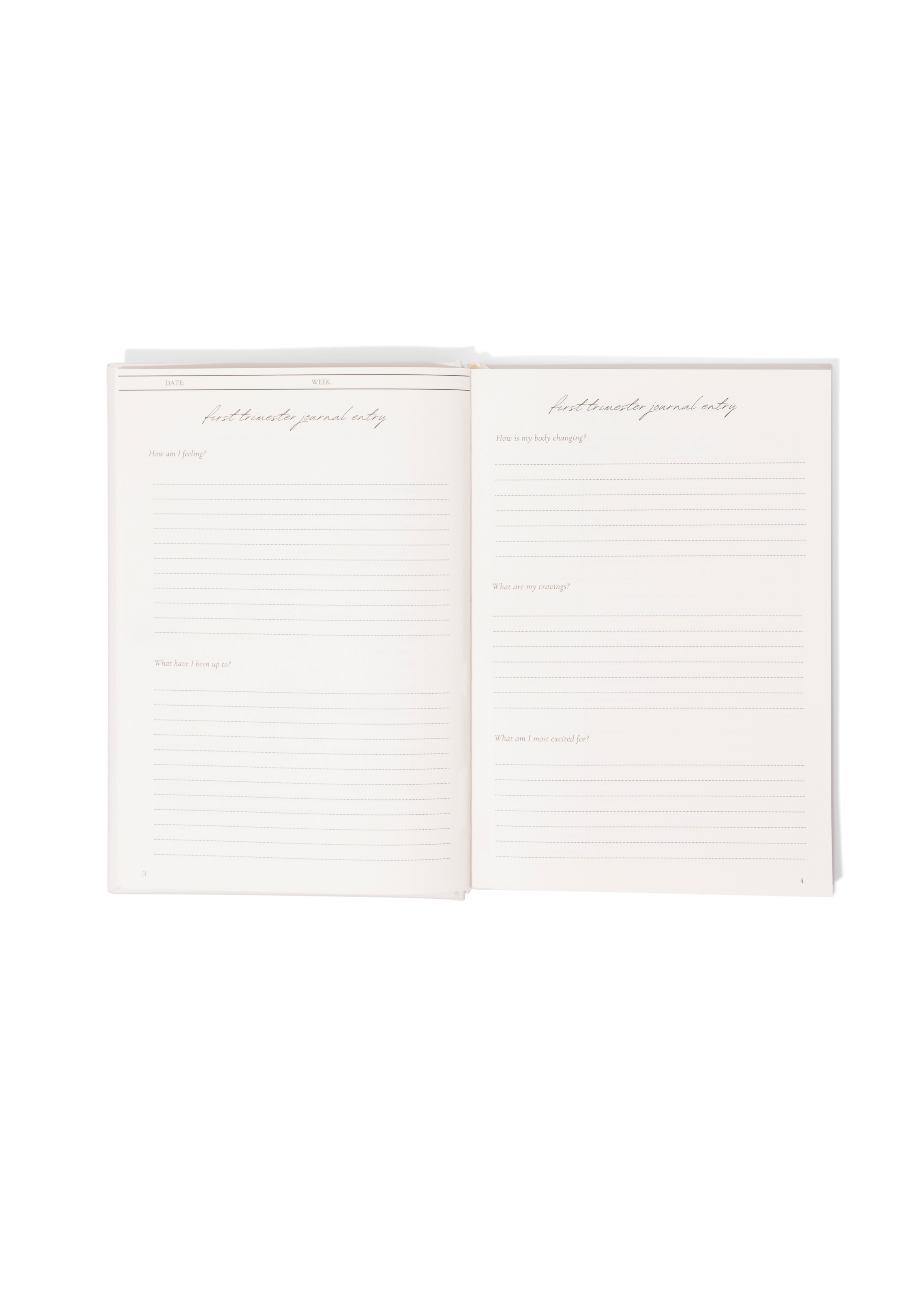 Baby Planner - Blueberry