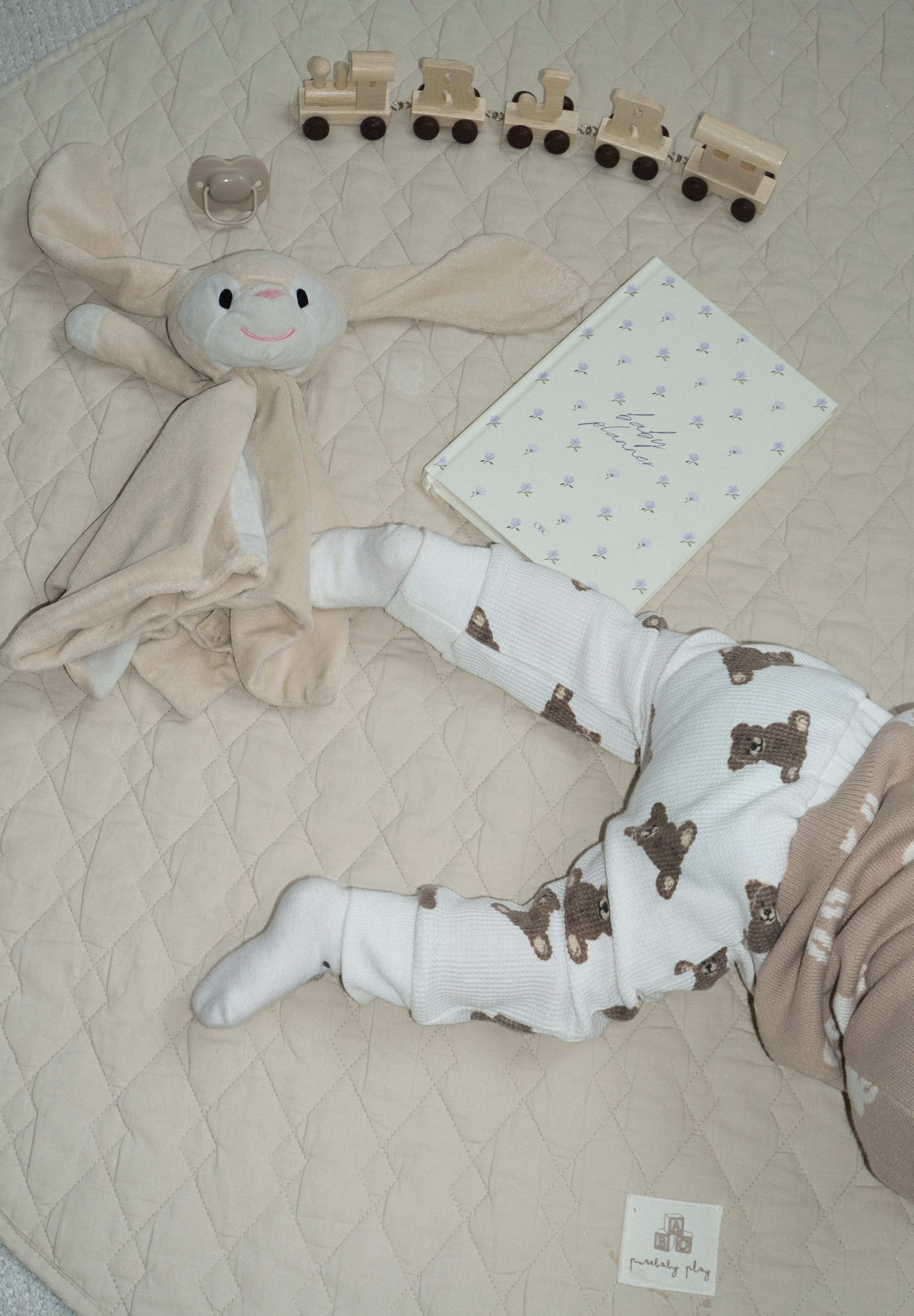 Baby Planner - Blueberry